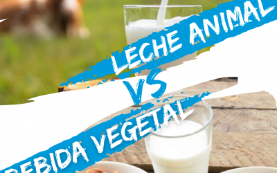 ¿Leche animal o Bebida vegetal?